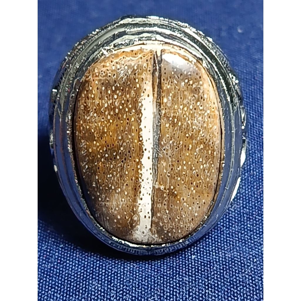Natural Kelor Petrified Wood, MYSTIC / Batu Fosil Kayu Kelor, SAKRAL, KENDIT SODO LANANG