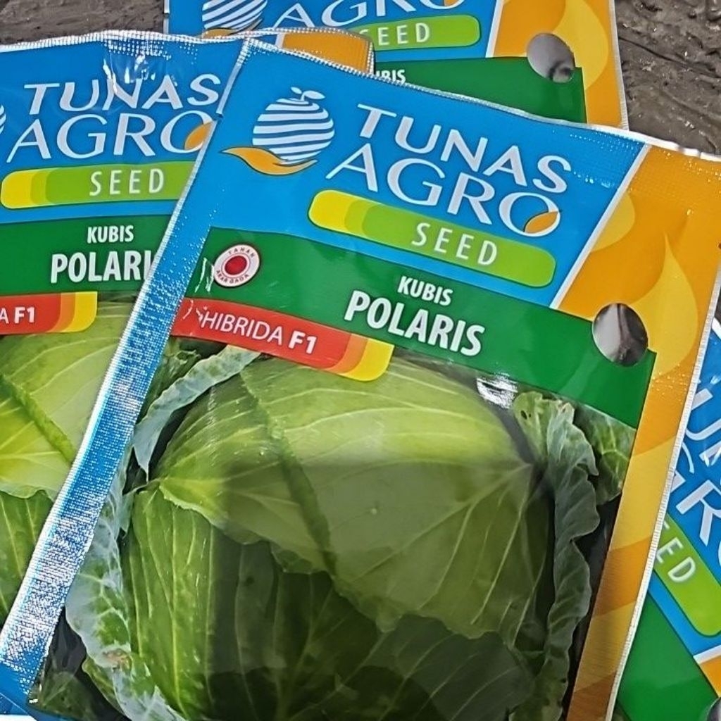KUBIS POLARIS 20g