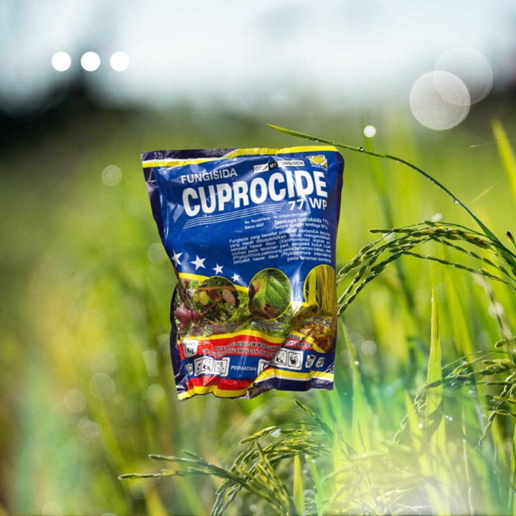 Cuprocide 77WP 1kg
