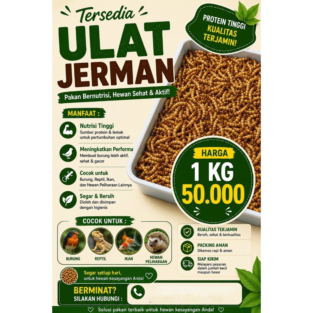 Ulat Jerman