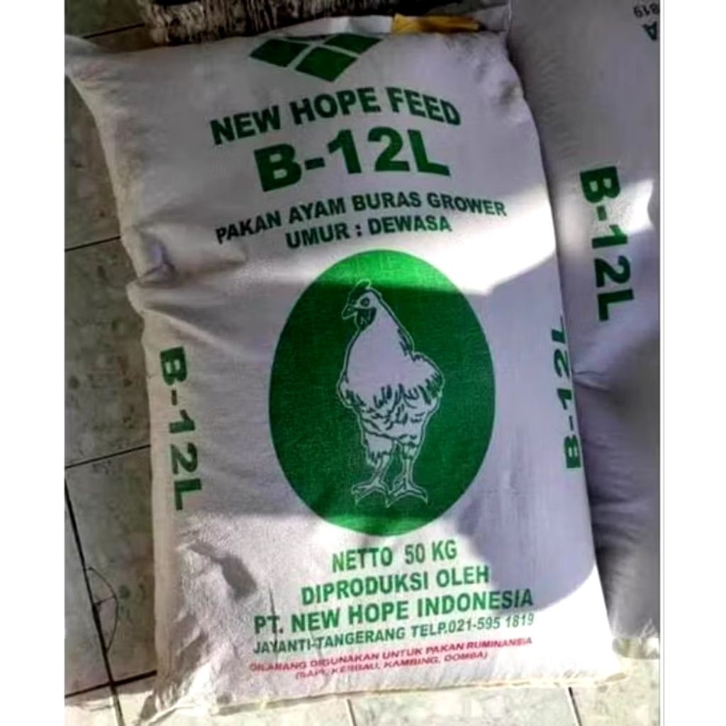 pakan ayam pur buras grower Ayam kampung, ayam hias, ayam bangkok