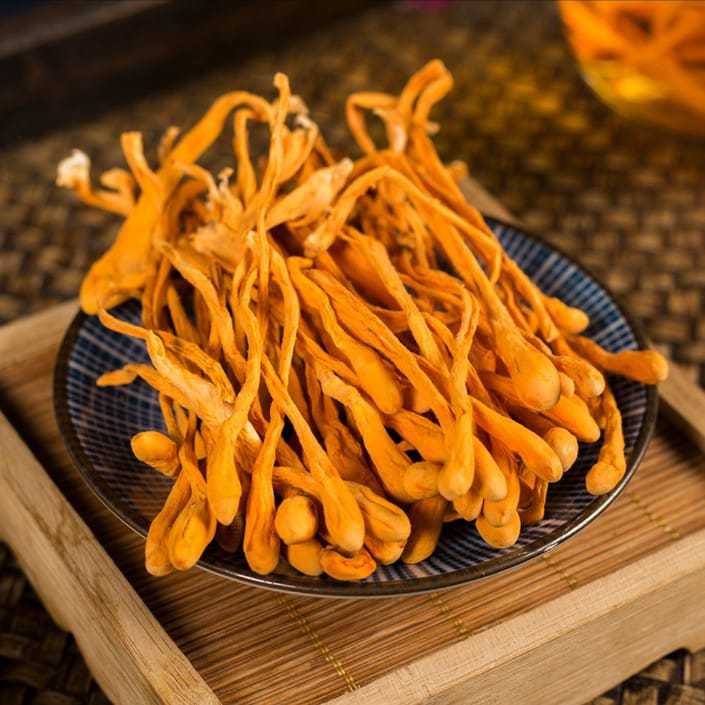 CORDYCEPS MILITARIS/CORDYCEPS MUSHROOM FLOWER/BUNGA JAMUR CORDYSEPS/JAMUR BUNGA CORDYCEPS MILITARIS/