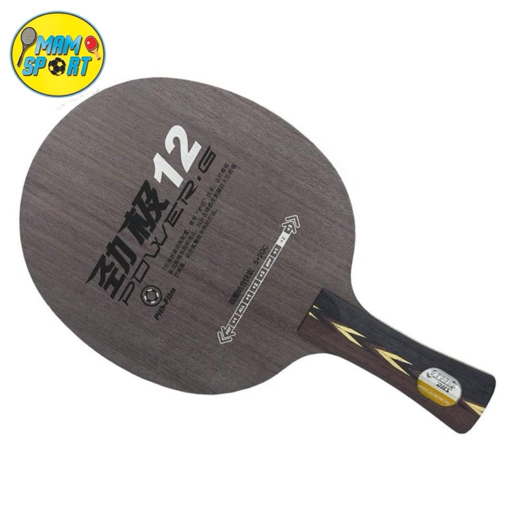 Kayu Bet Pingpong Tenis Meja DHS POWER G PG12 CARBON Original