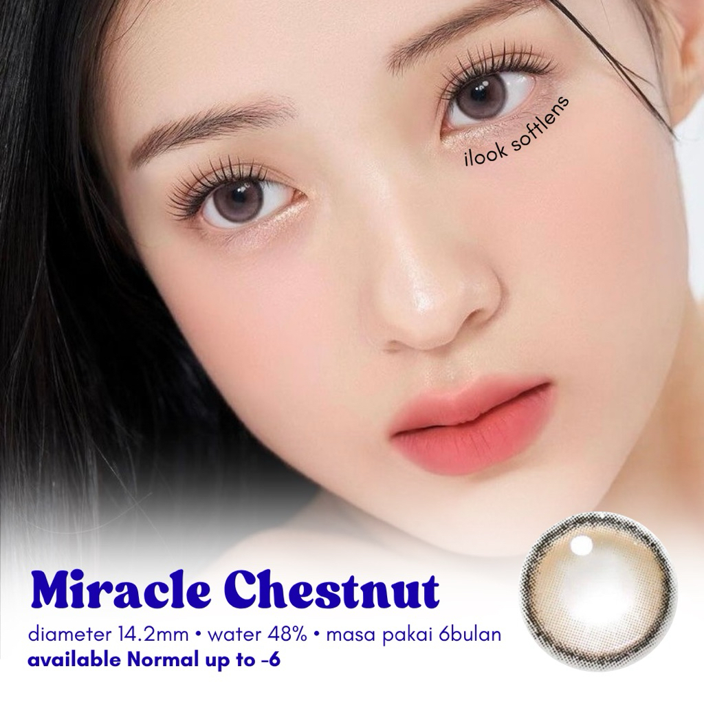 SOFTLENS MIRACLE CHESTNUT BROWN BY IRISLAB MINUS [-0,50 s/d -6] DIA 14,2MM