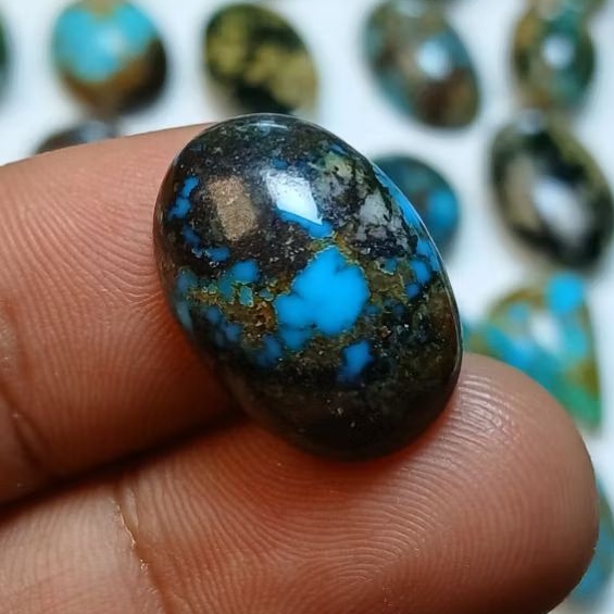 pirus biru ceplok