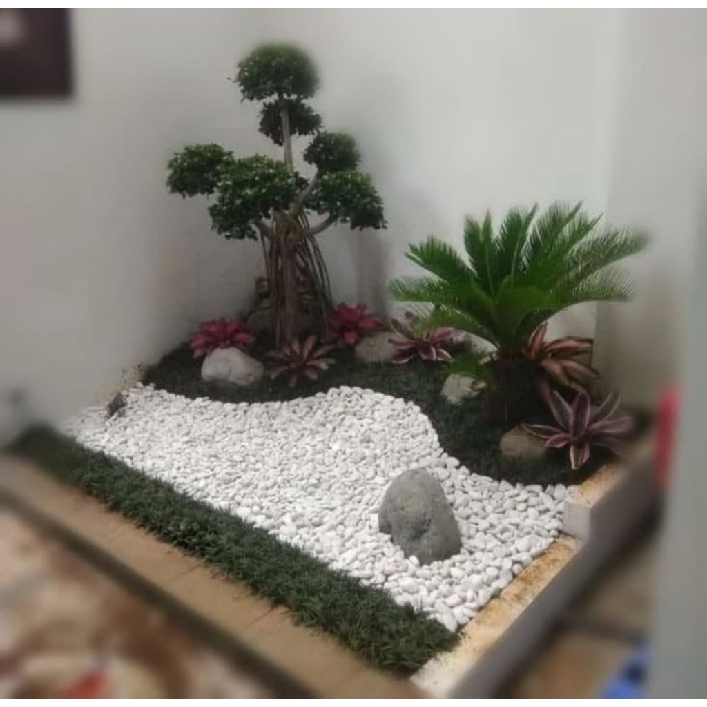 Taman minimalis Batu koral