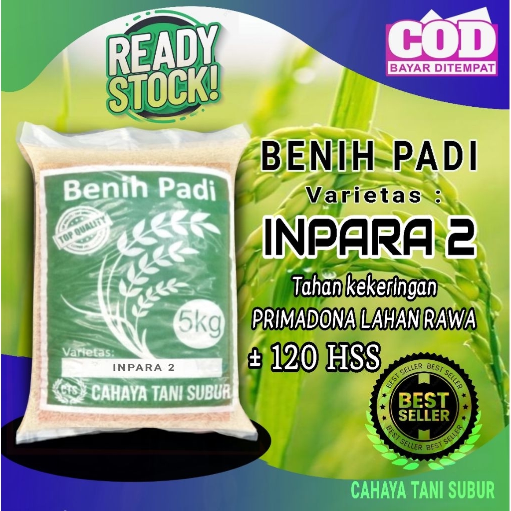 Inpara 2 Benih Padi Varietas Unggul primadona lahan rawa (5kg)