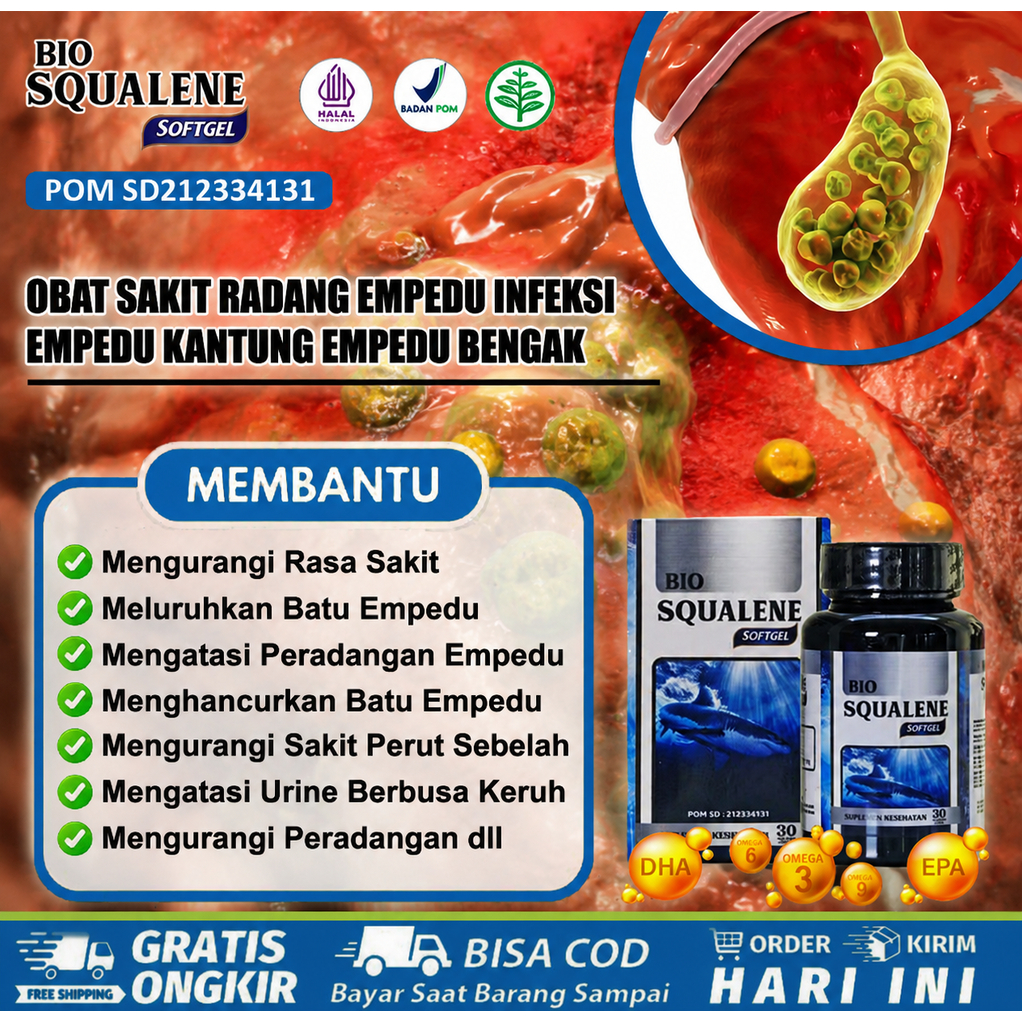 Obat Sakit Radang Empedu, Radang Empedu, Infeksi Empedu, Kantung Empedu Bengkak, Ginjal Bengkak, Inf