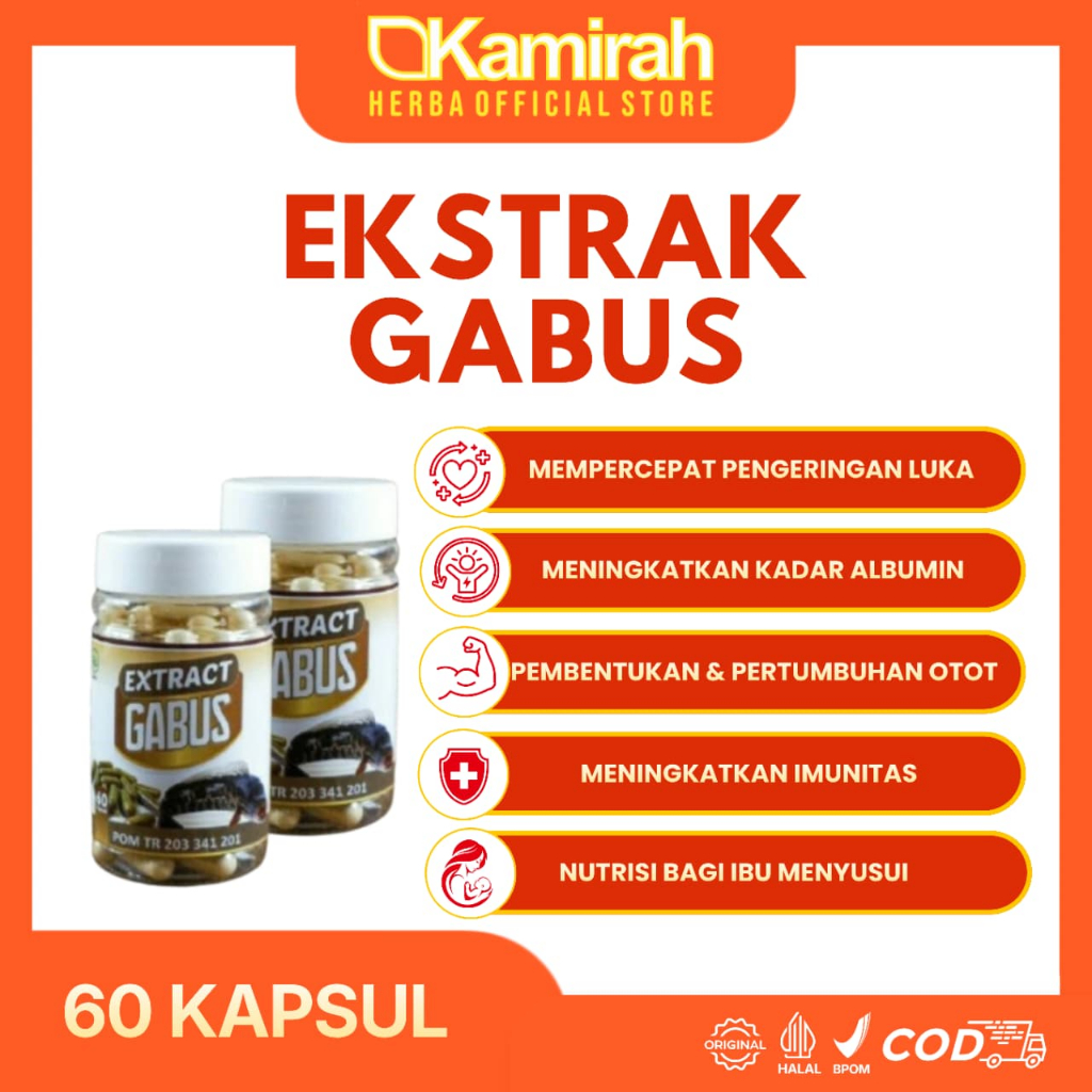 EKSTRAK IKAN GABUS 60 KAPSUL - SYIFA HERBAL