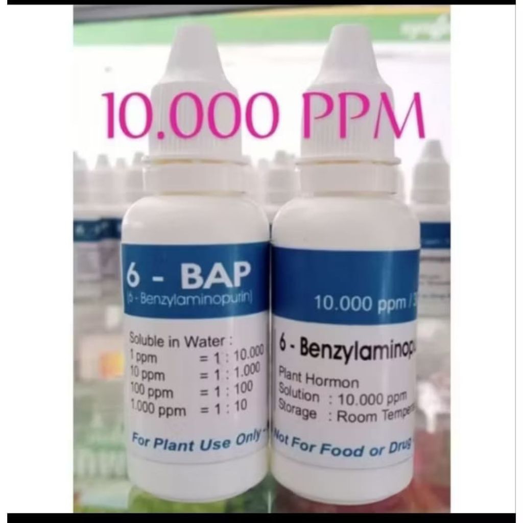 HORMON BAP/6-BAP. BENZYL AMINO. PURIN 10.000 ppm. UKURAN 30 ML. ORIGINAL
