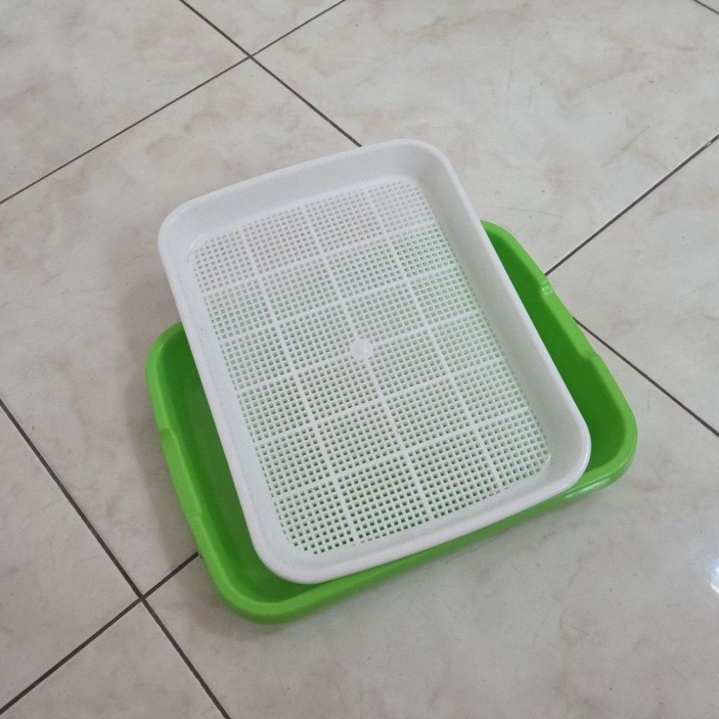 Tray Semai Microgreens