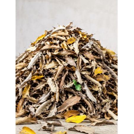 Daun Kering Campuran Kompos