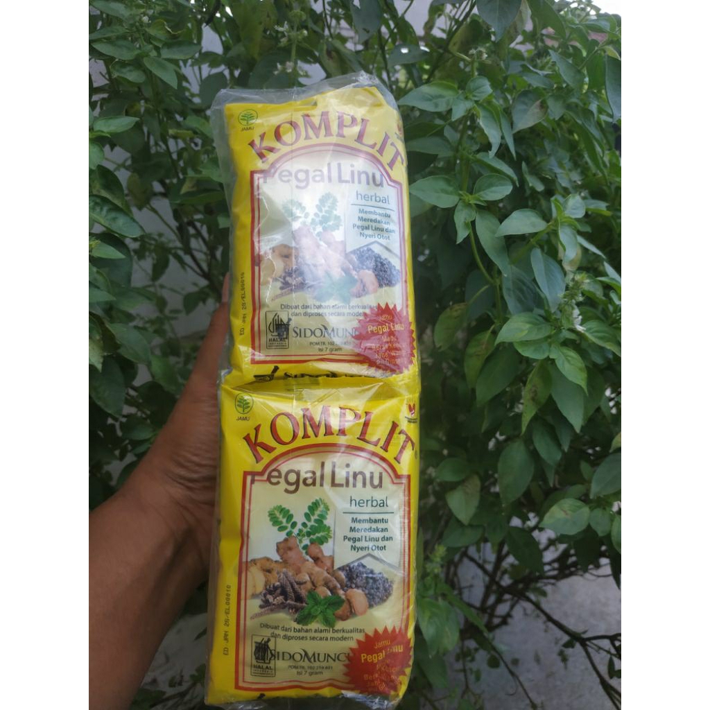 jamu komplit pegal linu Sido muncul