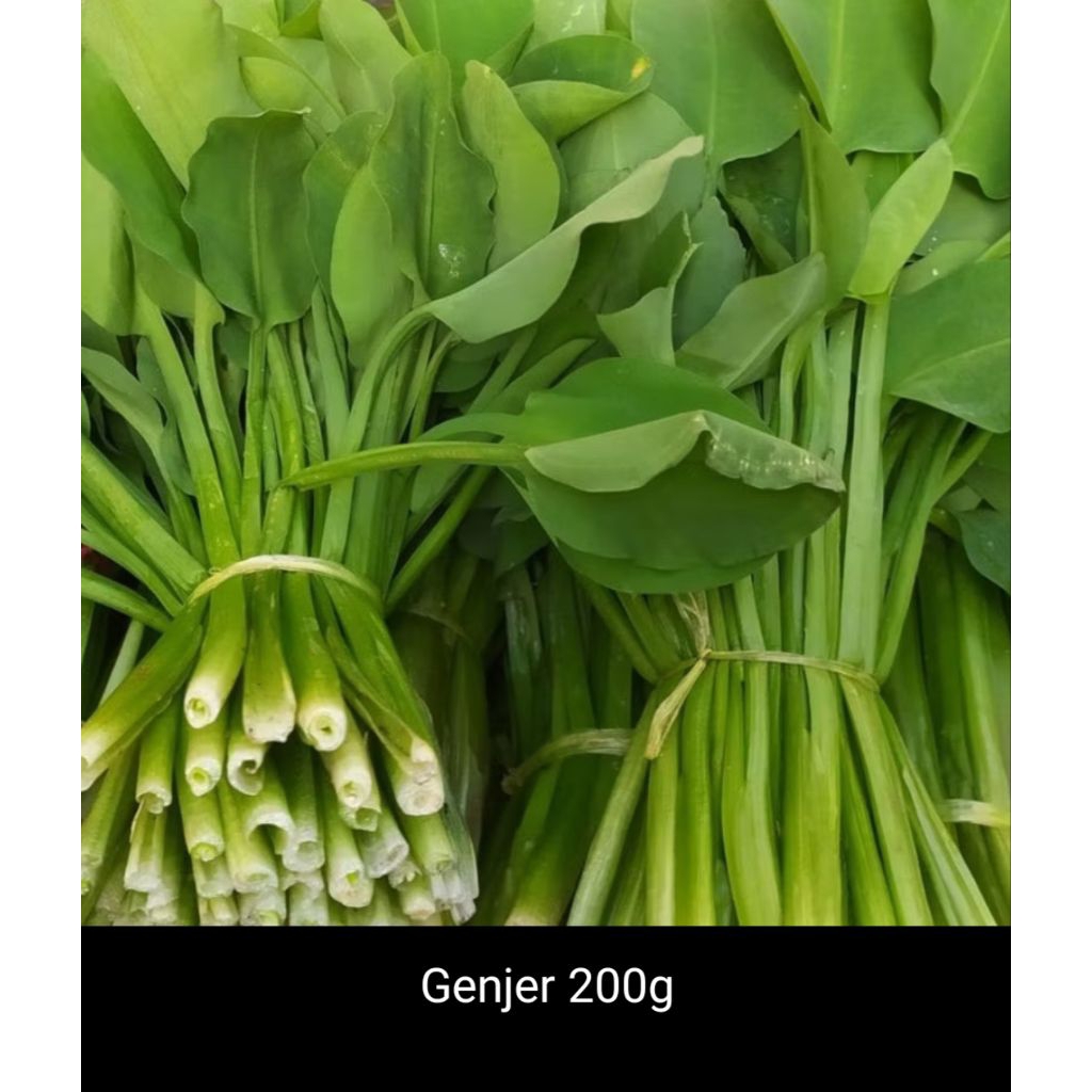 Genjer 200g/ sayur genjer 200g/ sayur genjer 1ikat