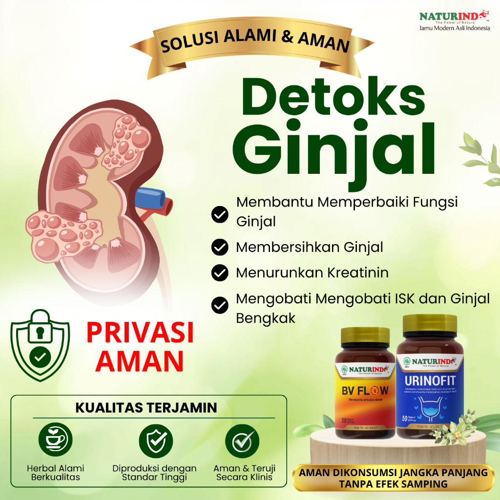Obat Detoks Ginjal Penurun Kreatinin Tinggi Herbal Alami