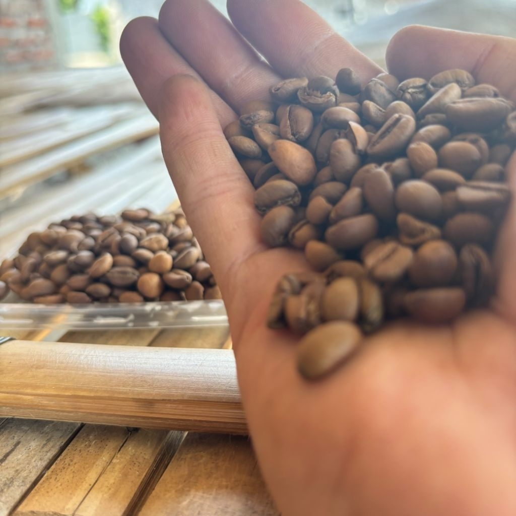 beans kopi excelsa wonosalam (medium roast)