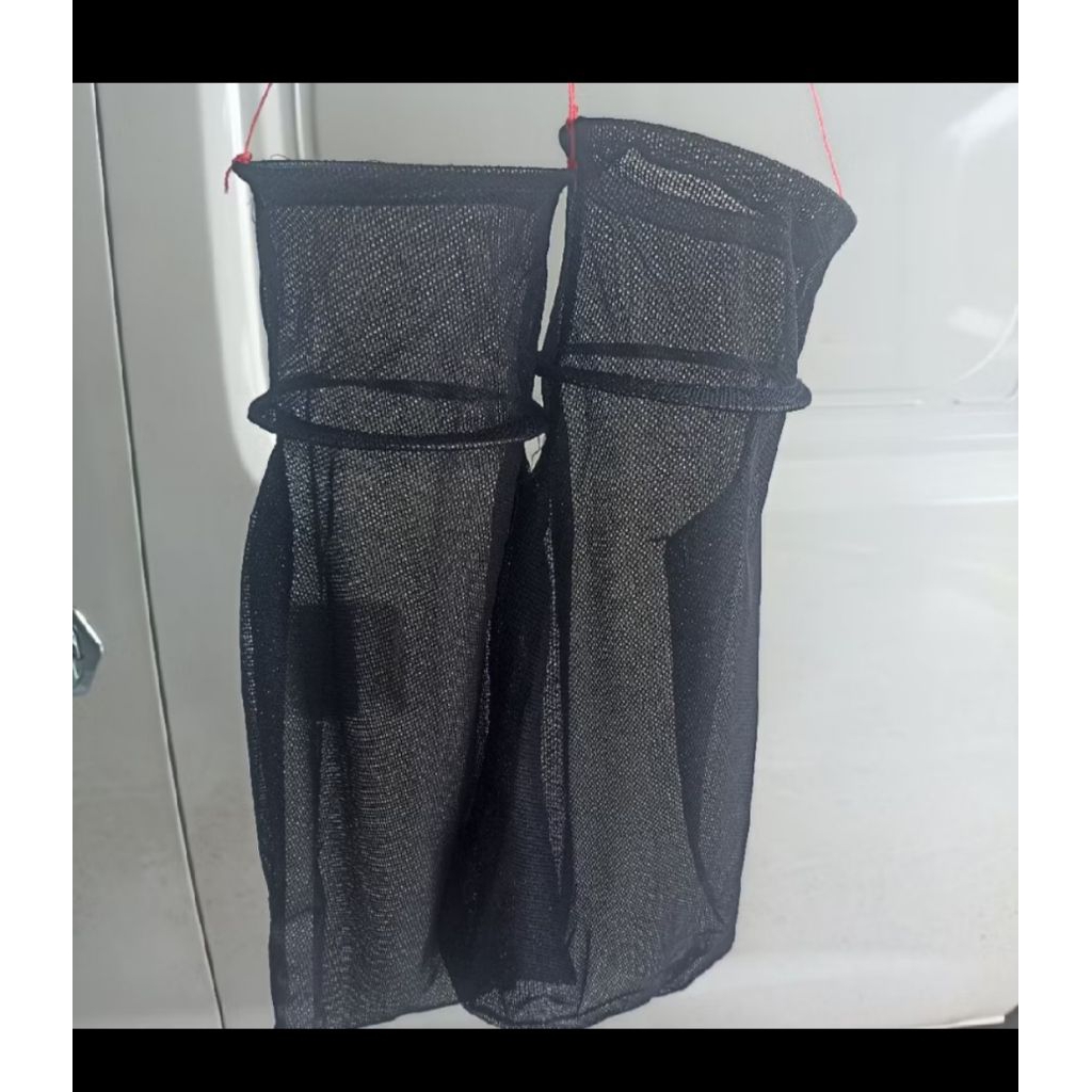 koja ikan wader nilem