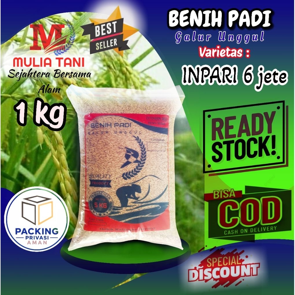 Benih Padi Super unggul Inpari 6 Jete (1Kg)