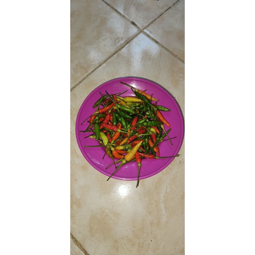 Lombok Rawit Asli
