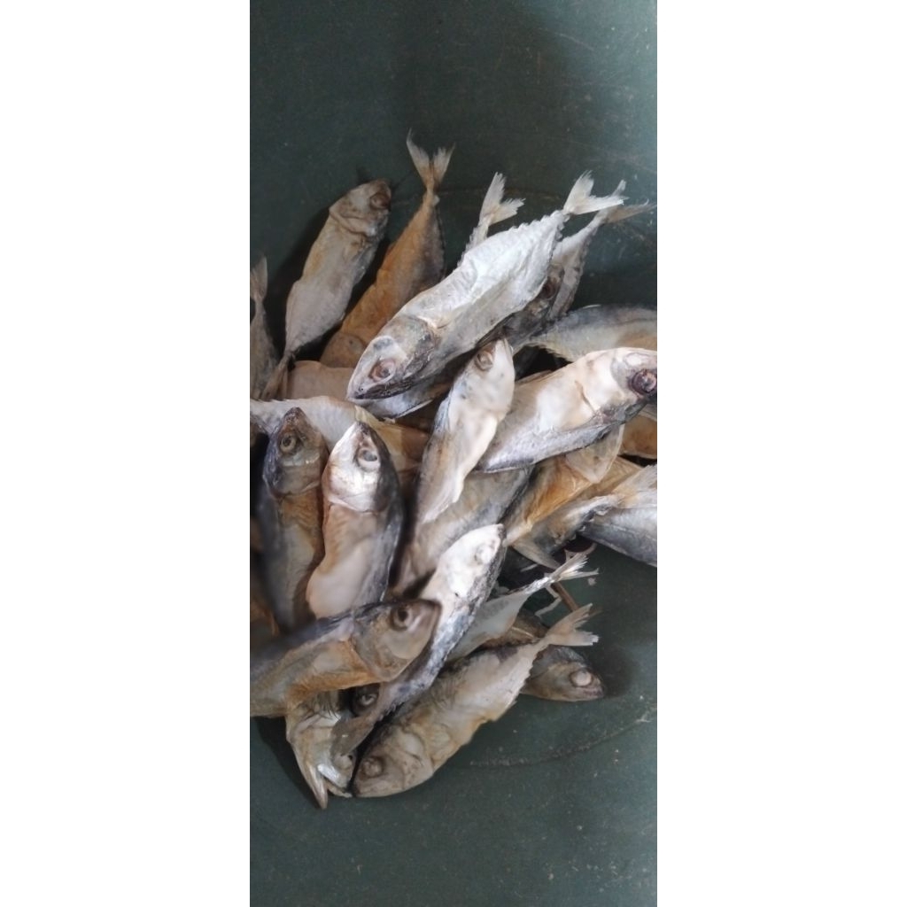 ikan asin kembung