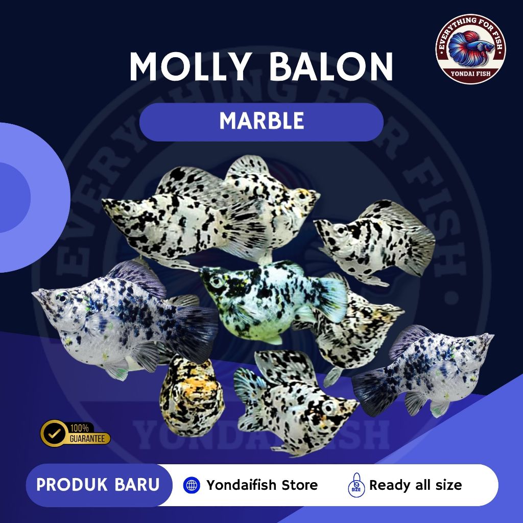 [MOLLY] Balon Marble | NEW | TOP GRADE | SIZE INDUKAN | READY ALL SIZE | REAL PICT