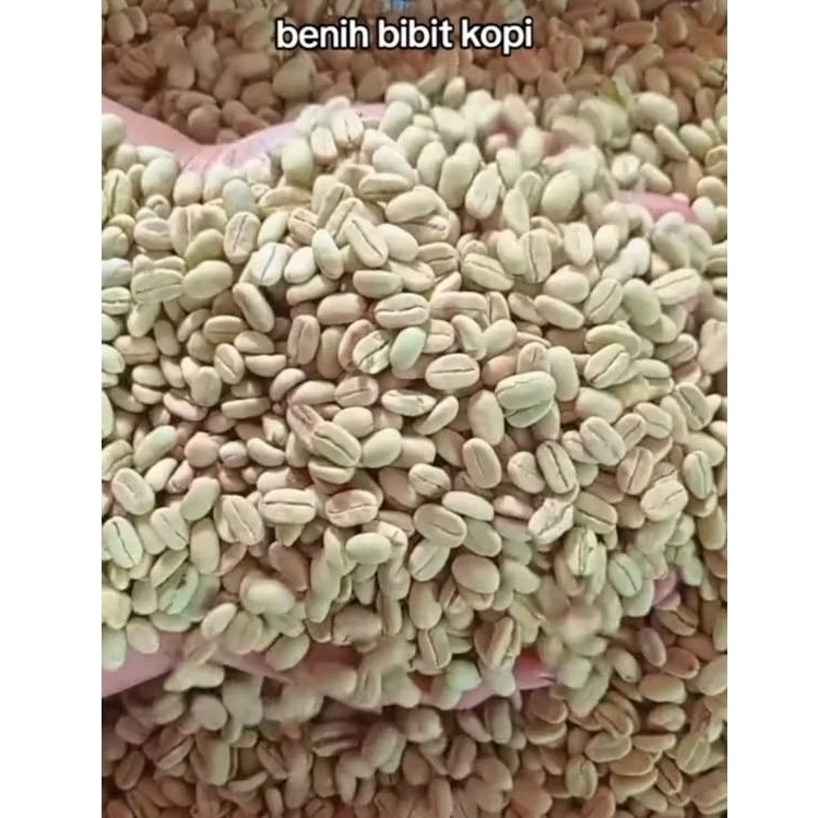 500 grm biji kopi Arabika Ateng super feremium