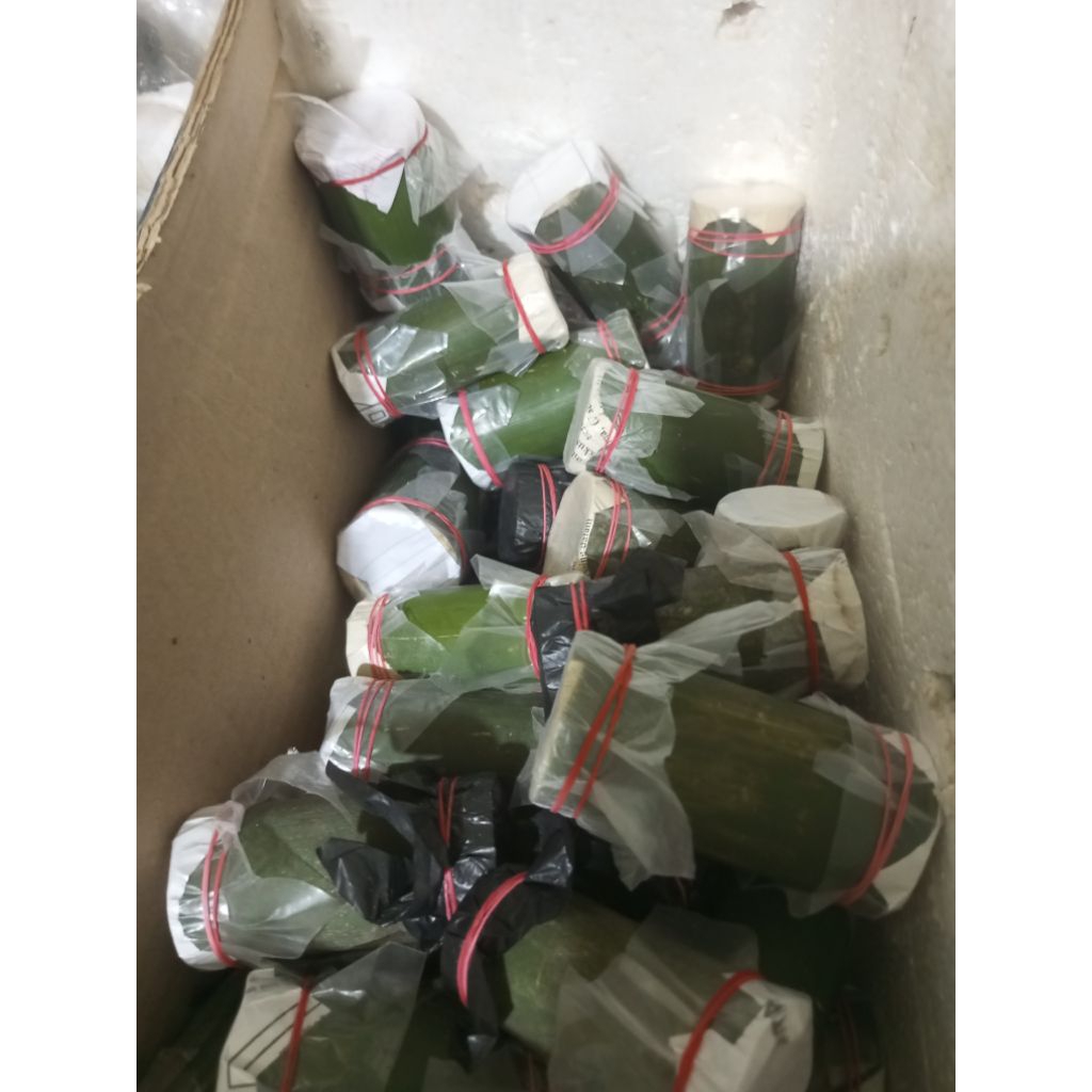 ulat bambu(isi 25)untuk mancing