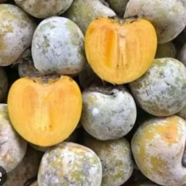 kesemek manis 1kg buah kesemek