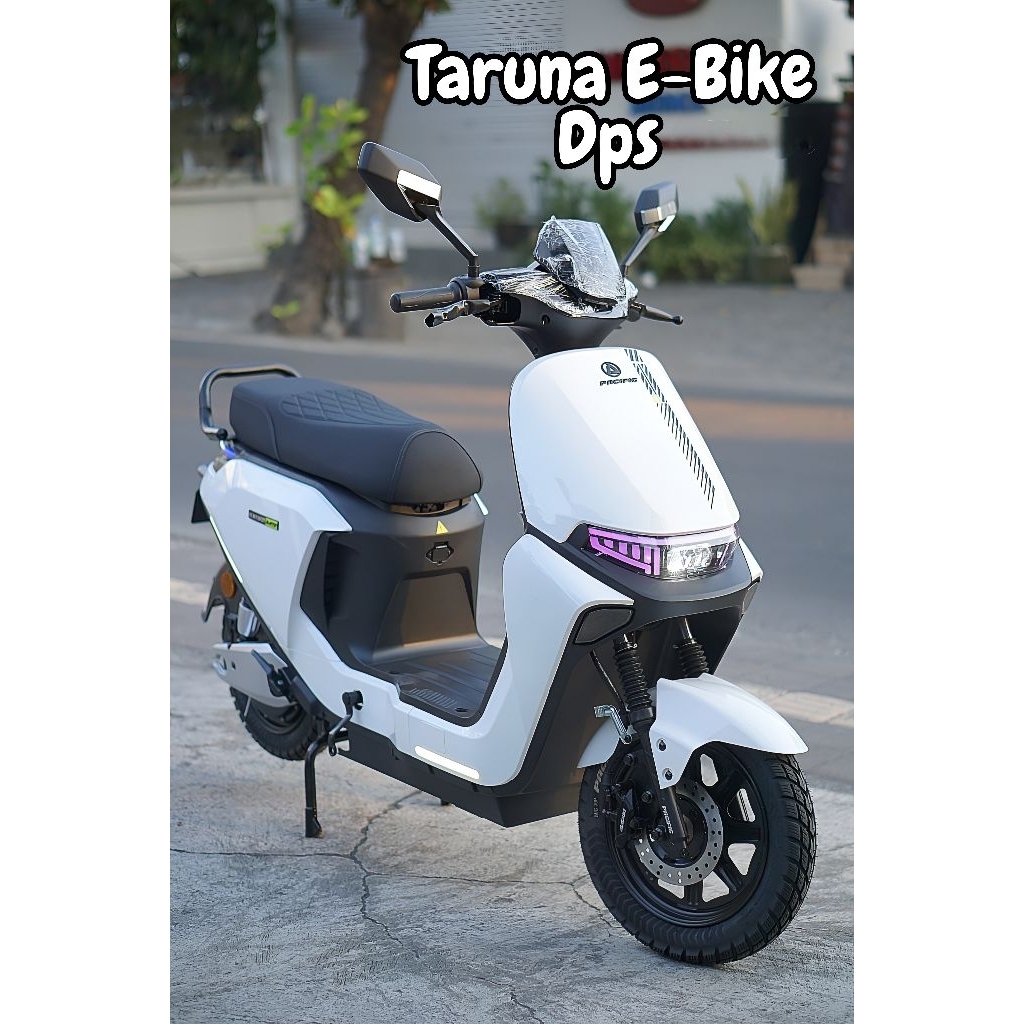 Pasific Ventura M9 Graphene Battery 60V 24Ah 1000Watt