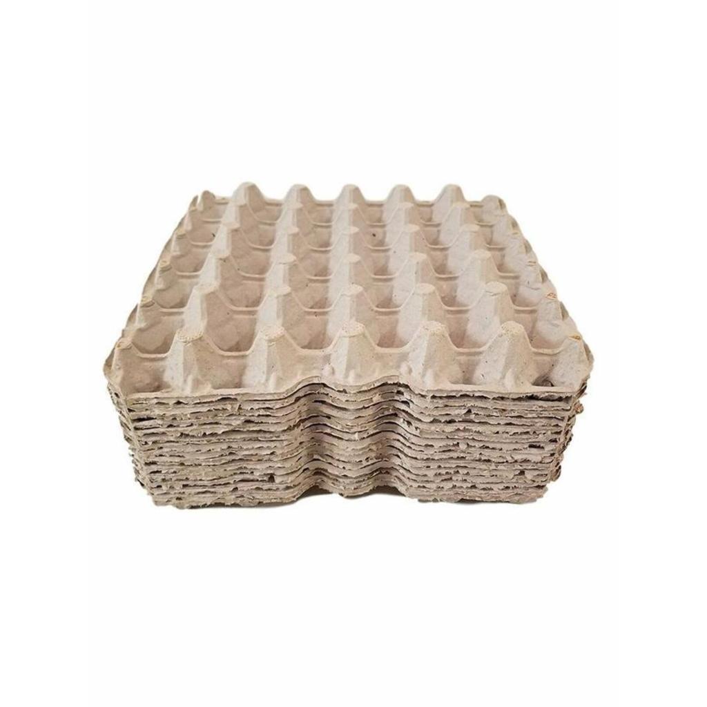 Tray Telur Bekas / Egg Tray isi 30 lubang / Tempat Telur / karton telur / Tray Telur Karton