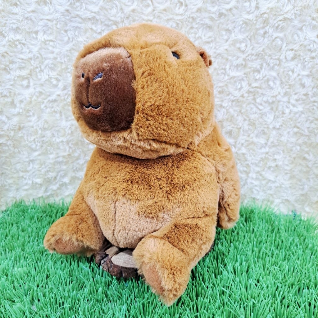Boneka Capybara Chubby Boneka Capybara Coklat Polos Boneka Capybara MANDAI