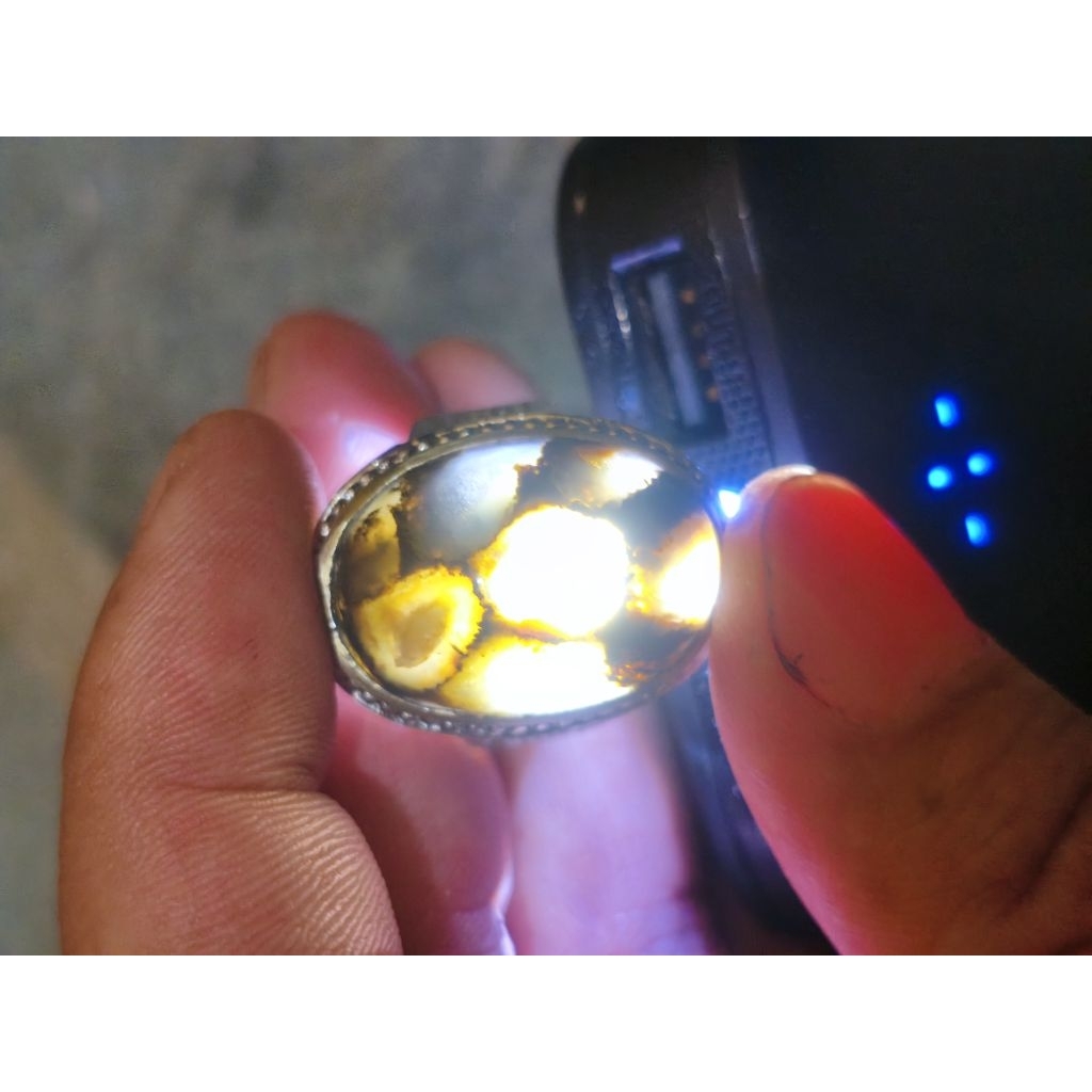 Cincin Batu Akik Lumut Pamor Cangkang Kura Kura