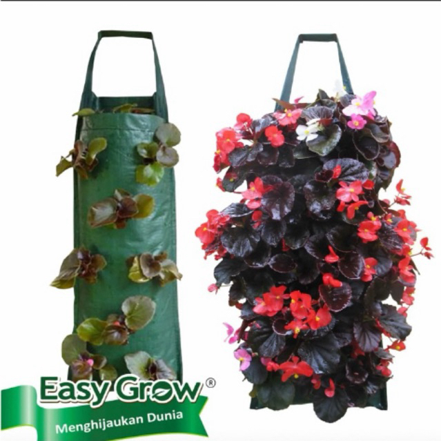 Plant Pouch Easy Grow 8 Slits