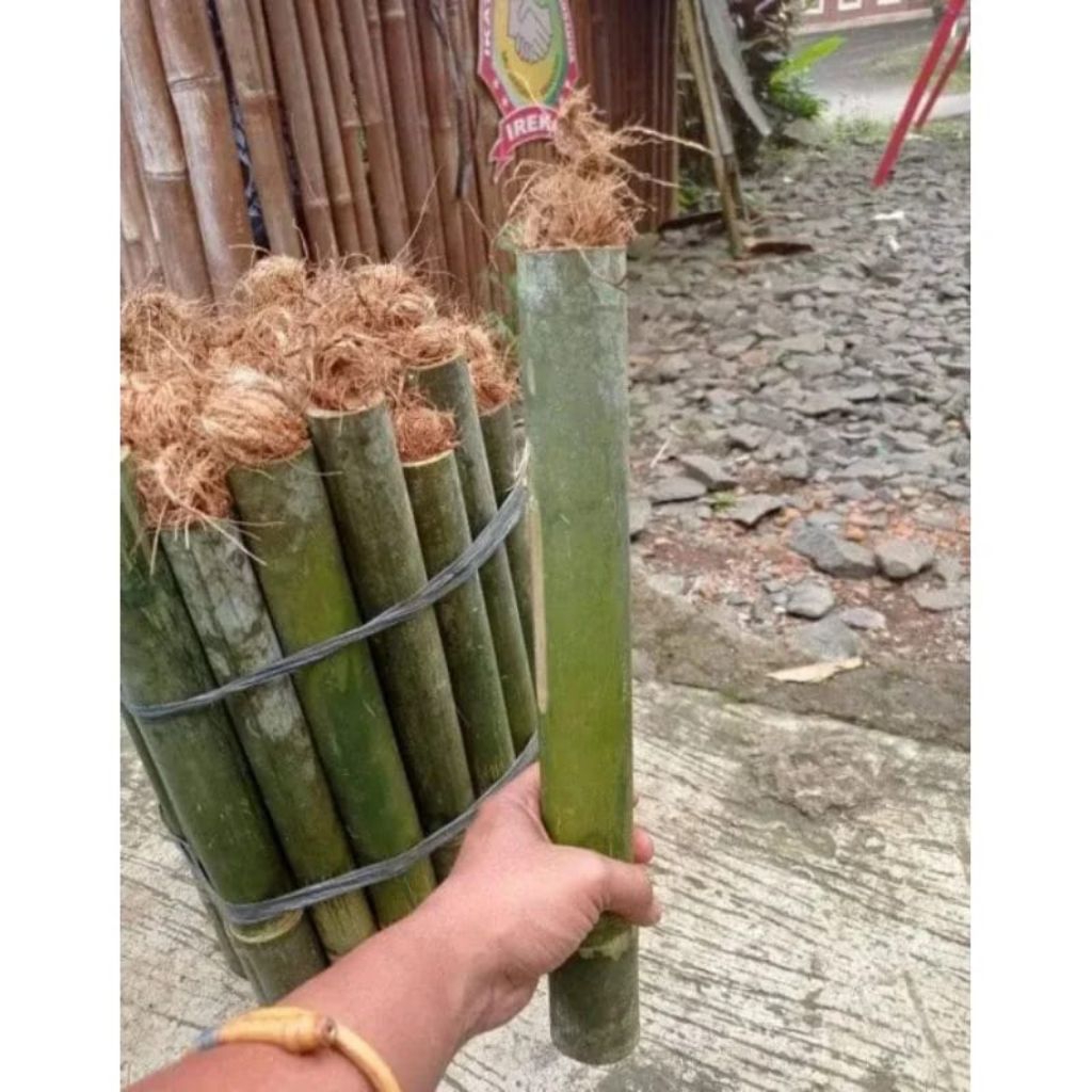 PROMO OBOR BAMBU JUAL OBOR BAMBU SUDAH BERSUMBU JUAL OBOR BAMBU OBOR BAMBU