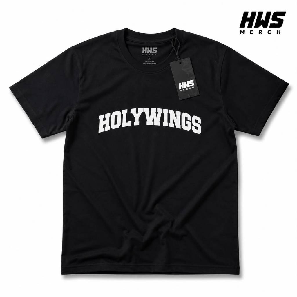KAOS HOLYWINGS VOL 2 ( DUGEM/PARTY/HOLYWINGS)