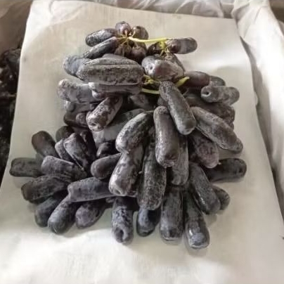 Buah anggur shapire moondrop Australia / buah anggur shapire moondrop import fresh / 1kg