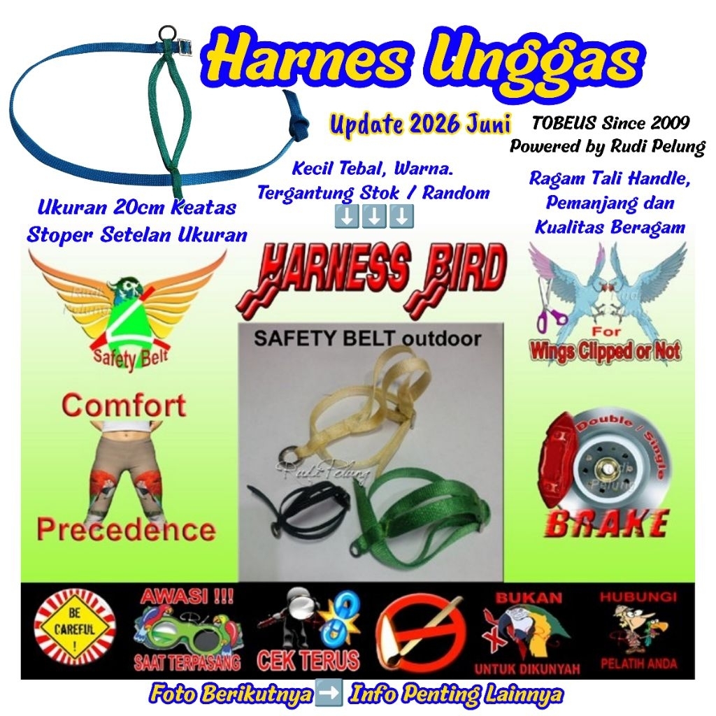 Harness burung parrot merpati ayam bebek kutilang murai kenari free fly cockatiel falk sunconure mac