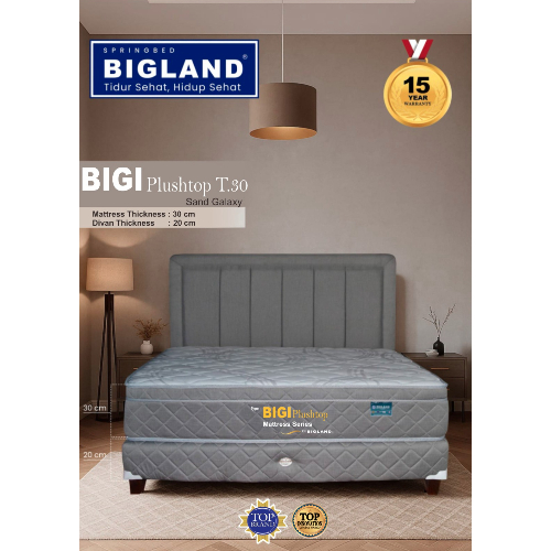 Kasur/Springbed/matras/Ranjang/Springbed Modern/Set Springbed/Springbed Mewah- Bigi Plushtop T.30 Uk