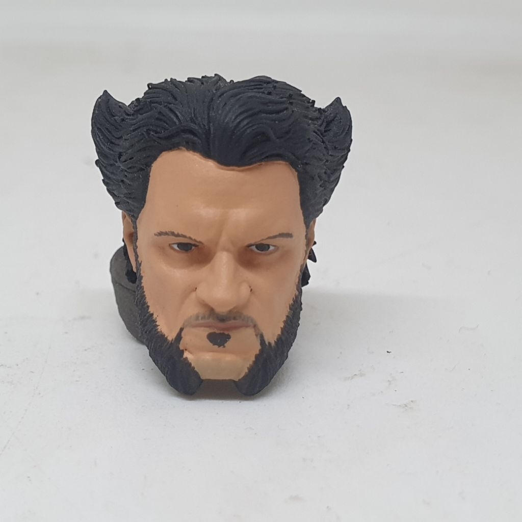 3D Print Head HS Marvel Logan Wolverine Henry Cavill Deadpool Avengers Multiverse kitbash 1/12