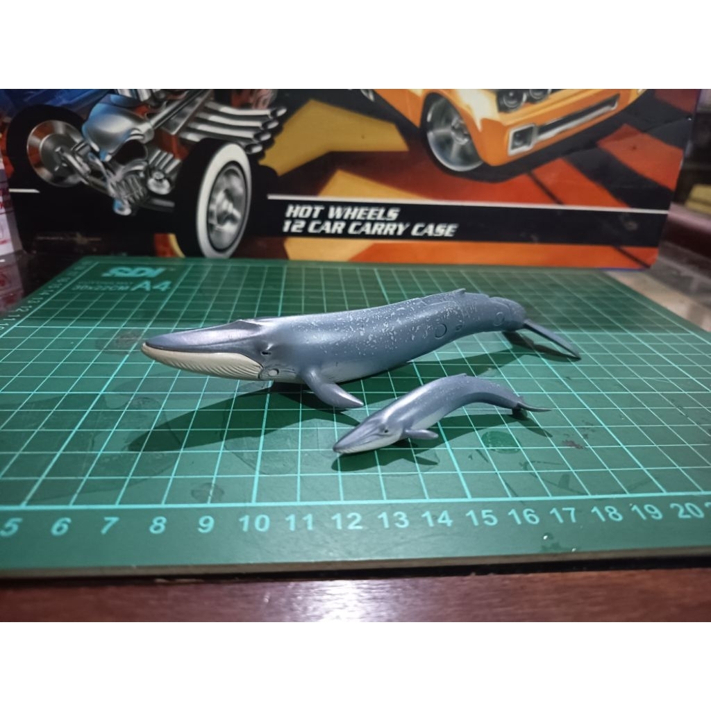 Takara Tomy Ania Blue Whale and baby Loose 2nd