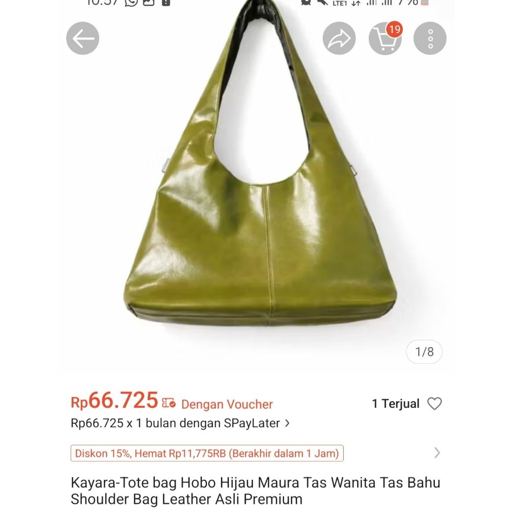 preloved tas kuliah leather hobo green crocodile