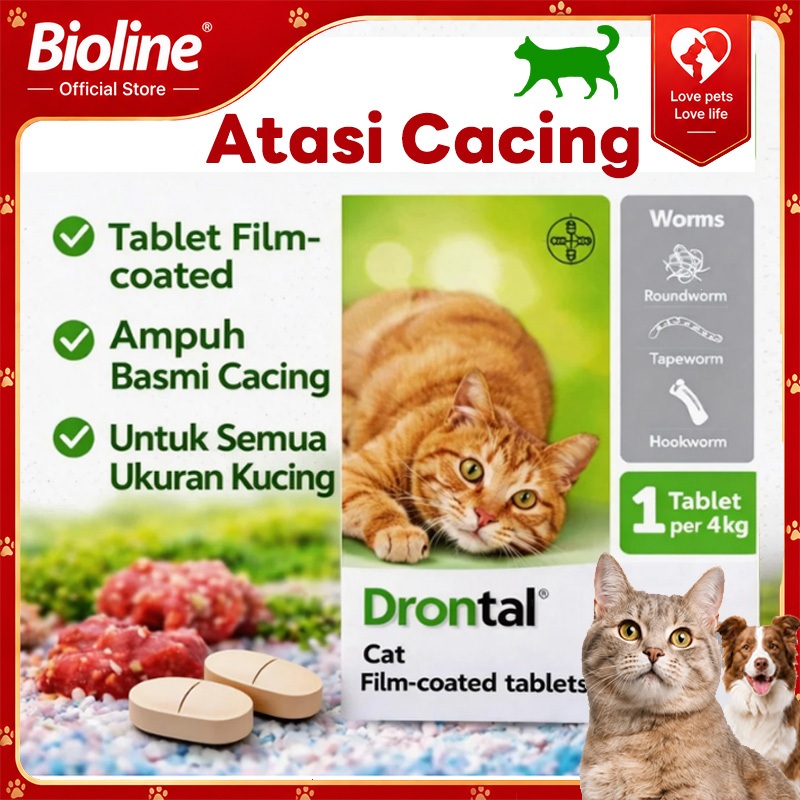 Drontal Cat Obat Cacing untuk Kucing Dewasa & Kucing Anak | Anti Cacing, Obat Cacing Kucing Terbaik,
