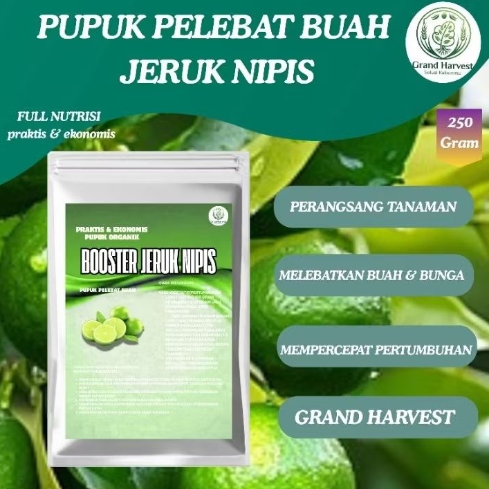 Pupuk Buah Jeruk Nipis Full Nutrisi Perangsang Buah Melebatkan Buah