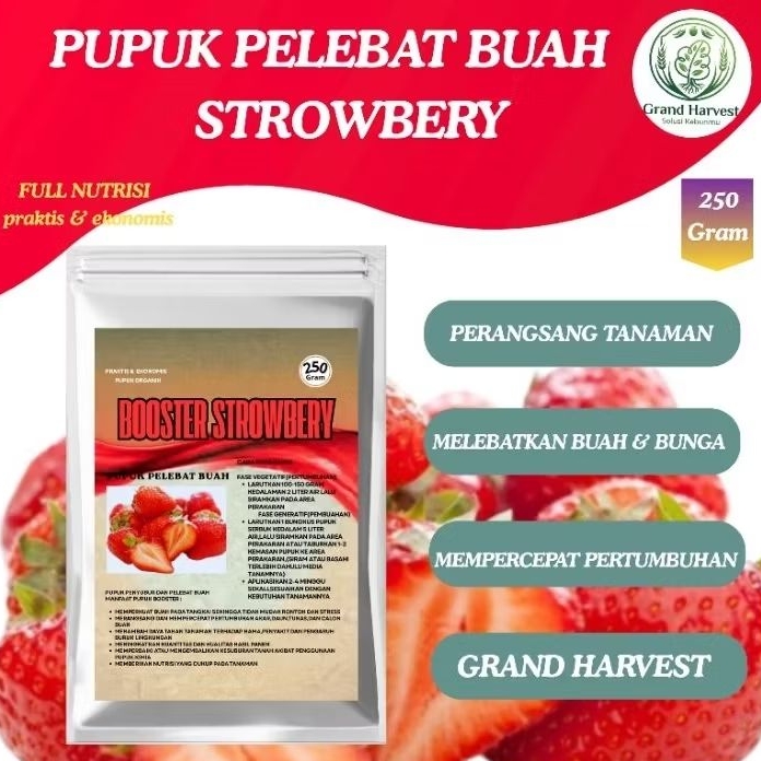 Pupuk Buah Strawberry Full Nutrisi Perangsang Buah Melebatkan Buah