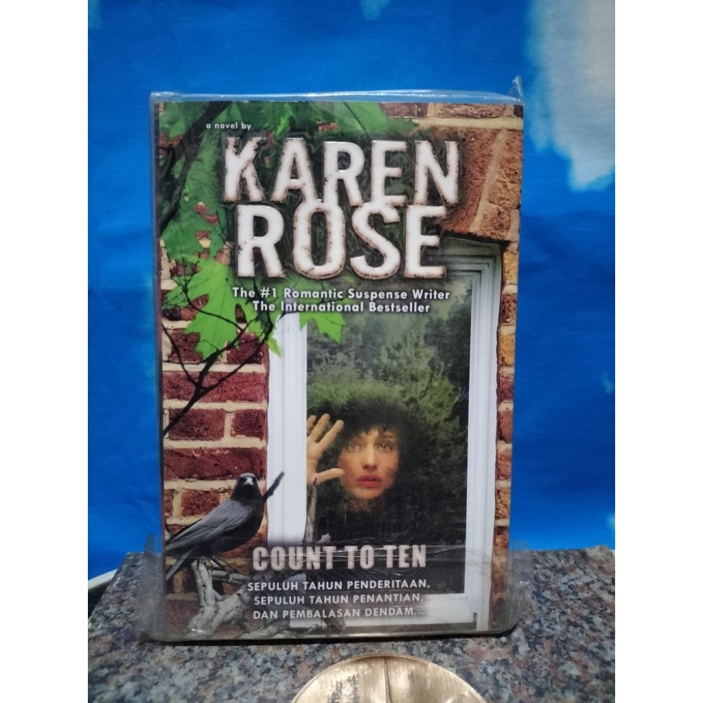 BUKU BEKAS COUNT TO TEN SEPULUH TAHUN PENDERITAAN BY KAREN ROSE