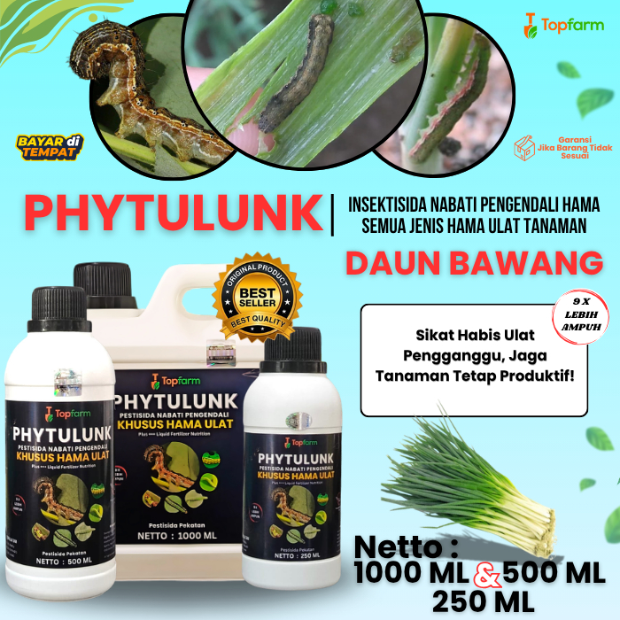 Obat Pembasmi Ulat Daun Bawang / Obat Ulat Daun Bawang Ampuh / Pembasmi Ulat Daun / Pestisida Pengen