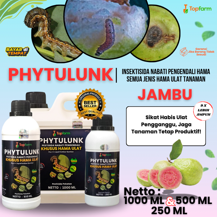Obat Pembasmi Ulat Jambu Paling Ampuh / Obat Ulat Buah Jambu / Pestisida Pengendali Hama Pemakan Bua