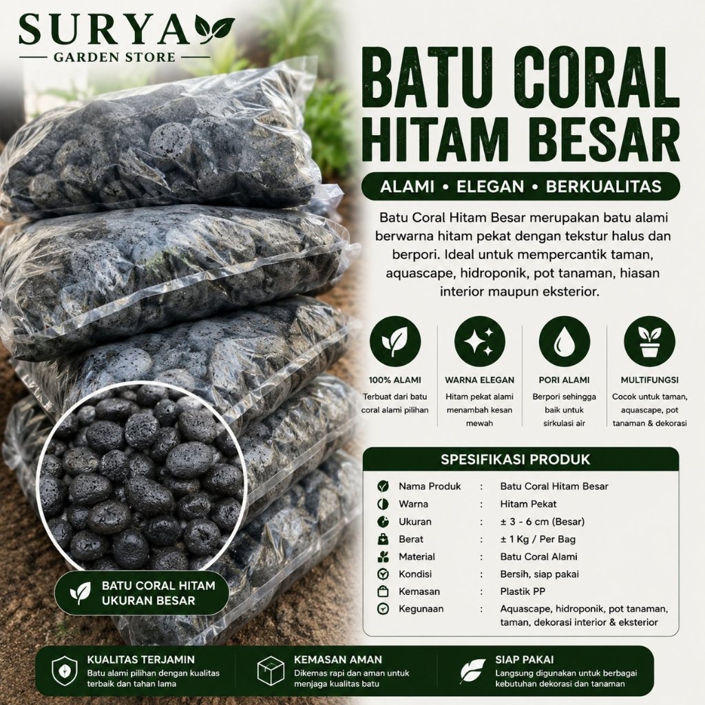 Batu Taman  Hitam10kg / Termurah / Batu Coral Hitam Kupang / Batu Kupang / Batu Taman  Hitam