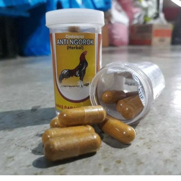 OBAT NGOROK HERBAL MENGATASI AYAM  NGOROK PADA AYAM SUARA AYAM MENGECIL SUARA AYAM SERAK SNOT MATA A