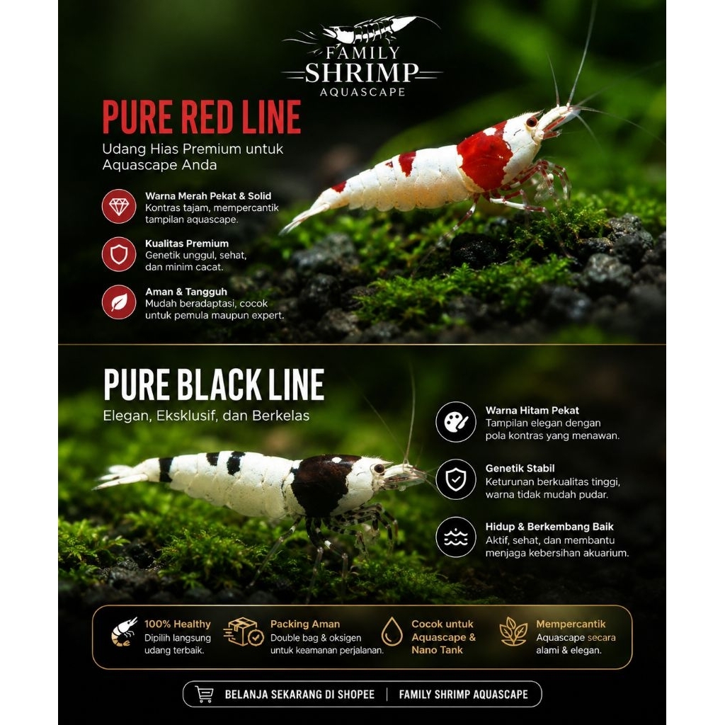 Udang Hias Aquarium Aquascape Pure Red Line PRL Dan Pure Black Line PBL Hiasan dan Dekorasi Aquarium